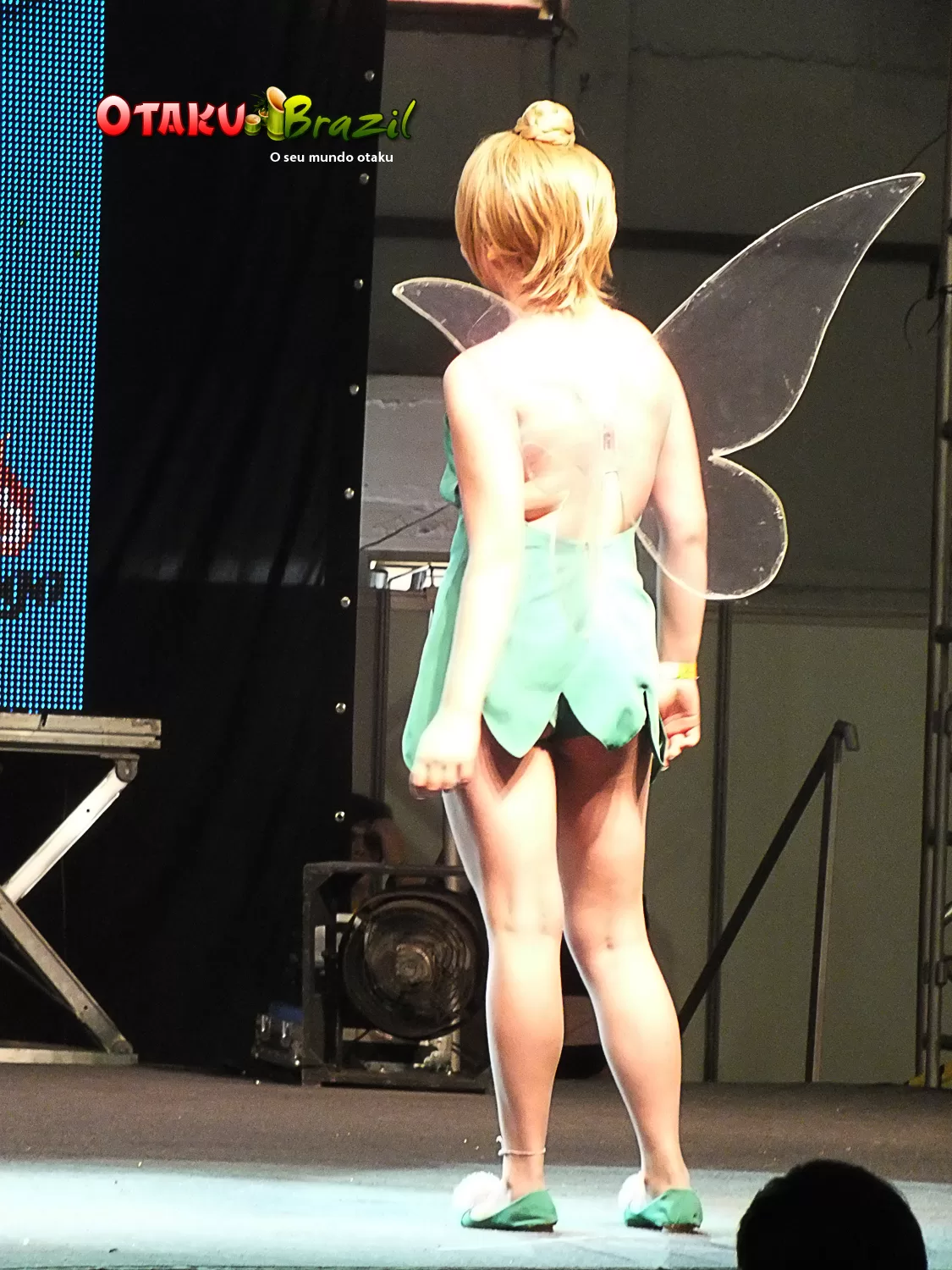 Foto 222 — Anime Friends 2011