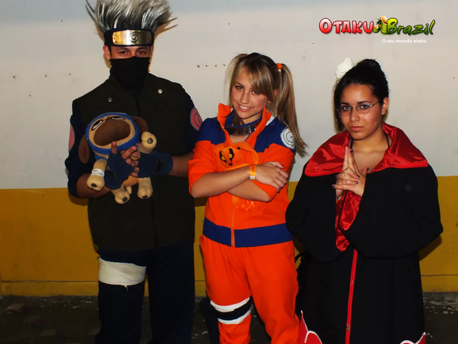 Foto 268 — Anime Friends 2011