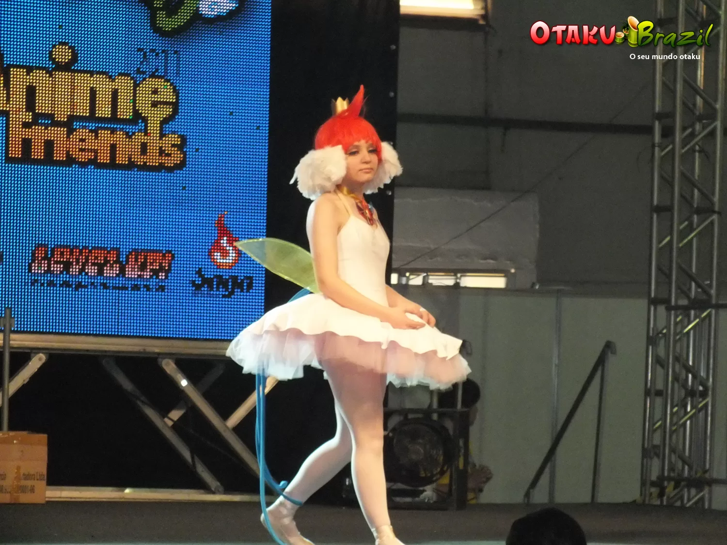 Foto 352 — Anime Friends 2011