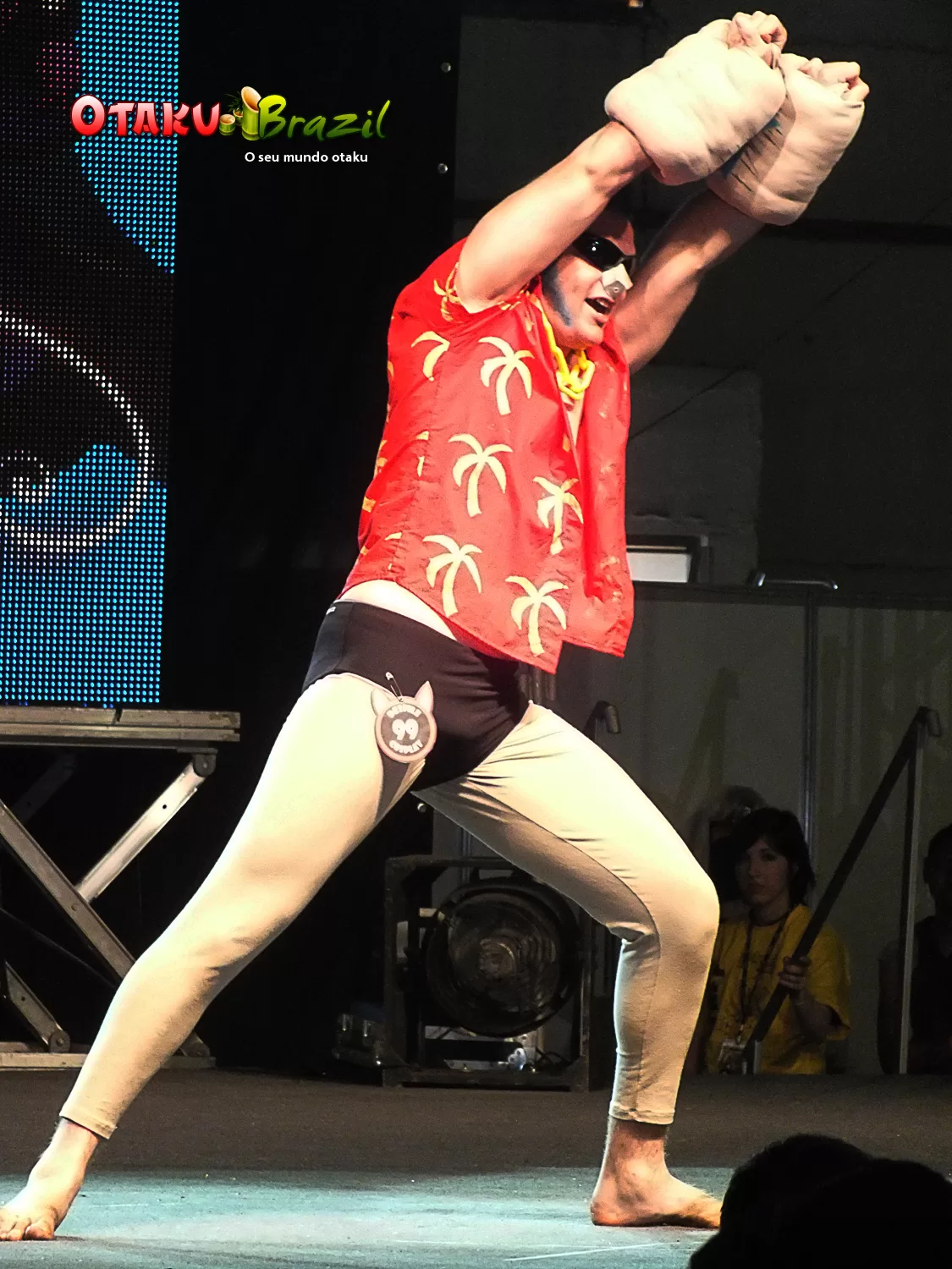Foto 485 — Anime Friends 2011