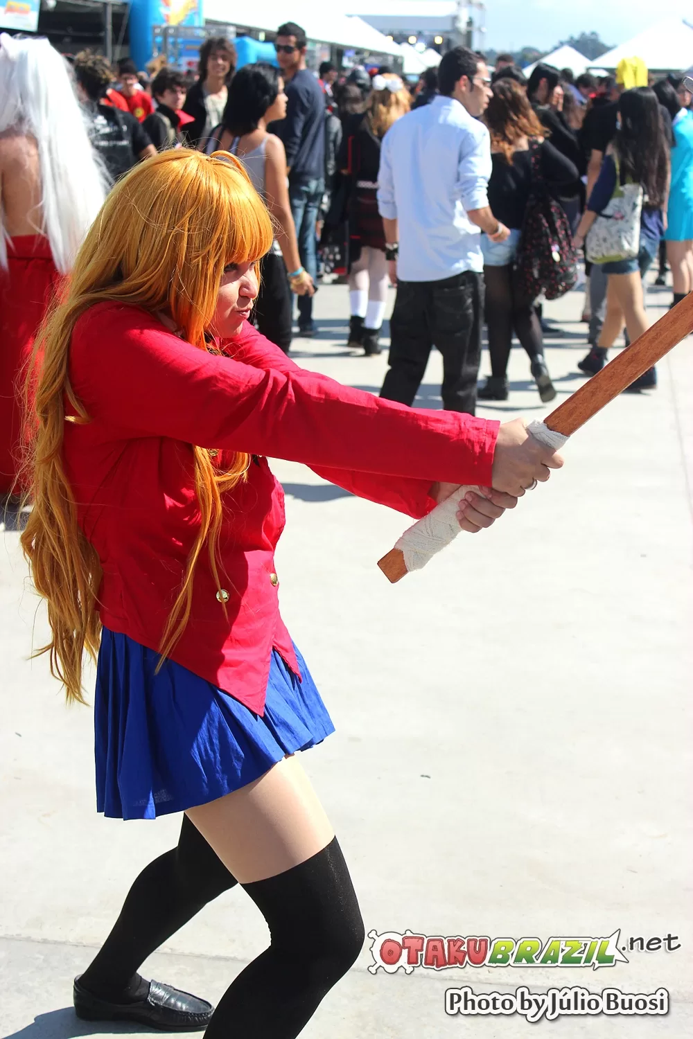 Foto 3402 — Anime Friends 2013