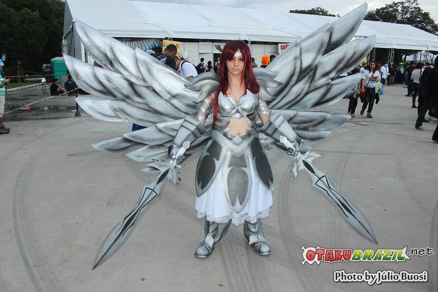Foto 3431 — Anime Friends 2013