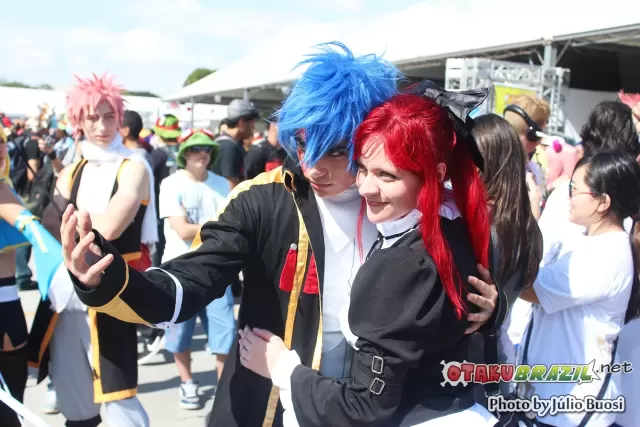 Anime Friends 2013