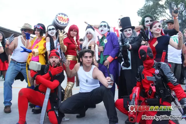 Anime Friends 2013