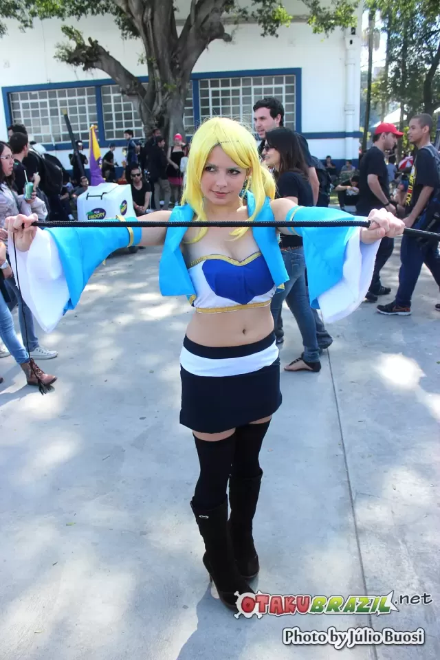 Anime Friends 2013