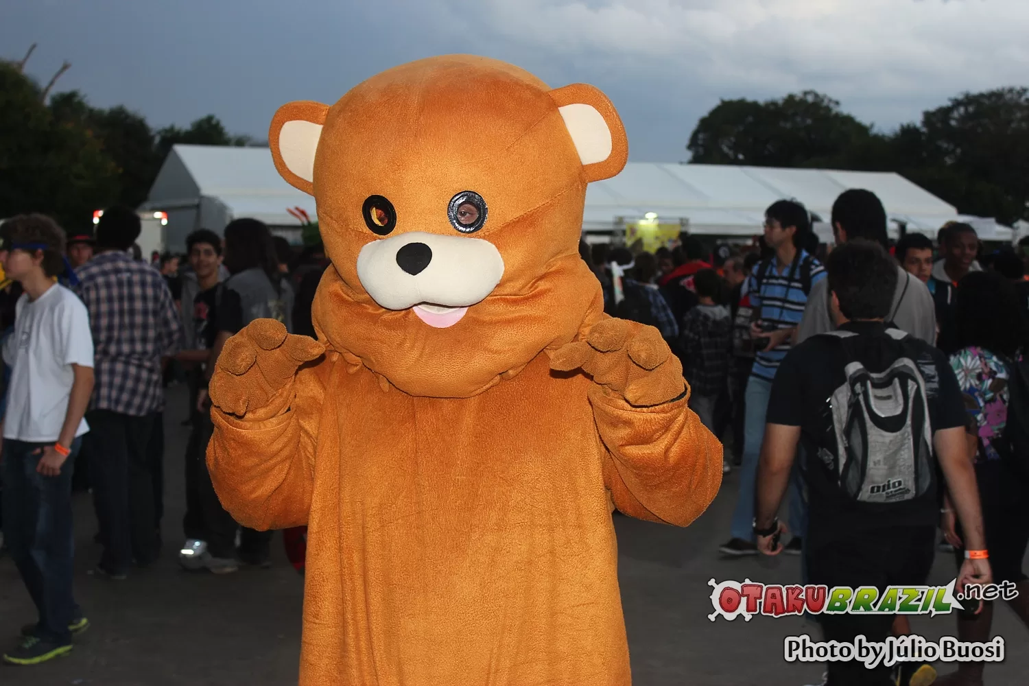 Foto 3591 — Anime Friends 2013