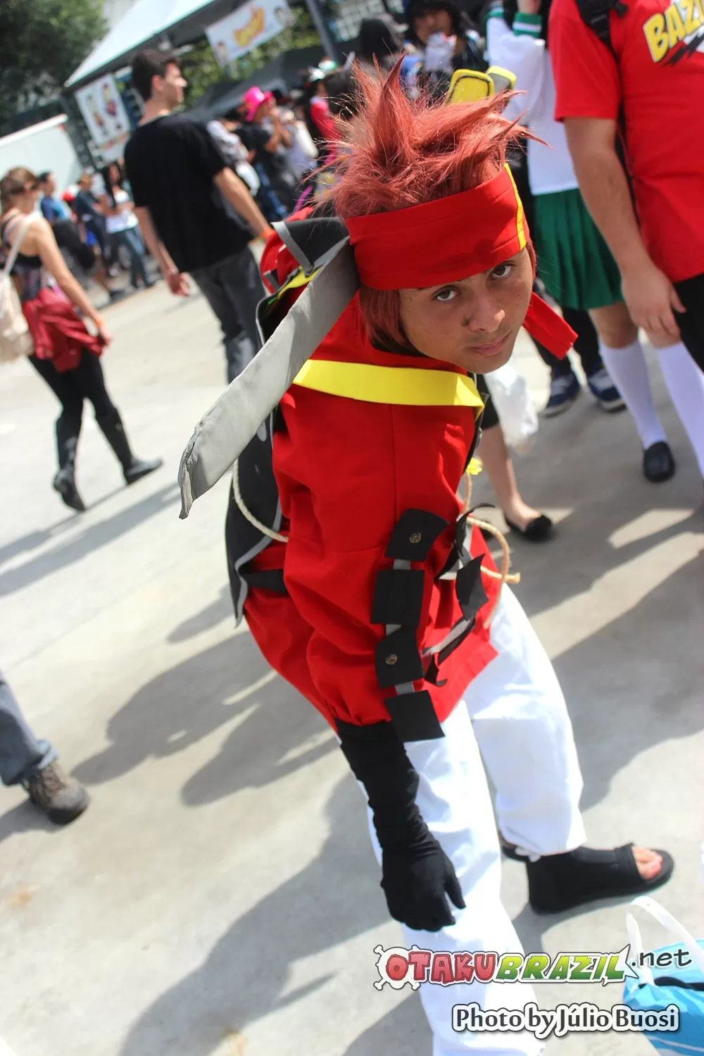 Foto 3313 — Anime Friends 2013