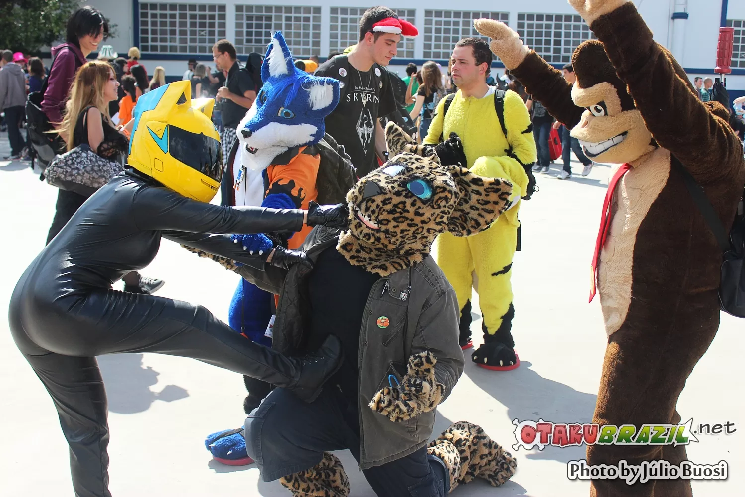 Foto 3699 — Anime Friends 2013