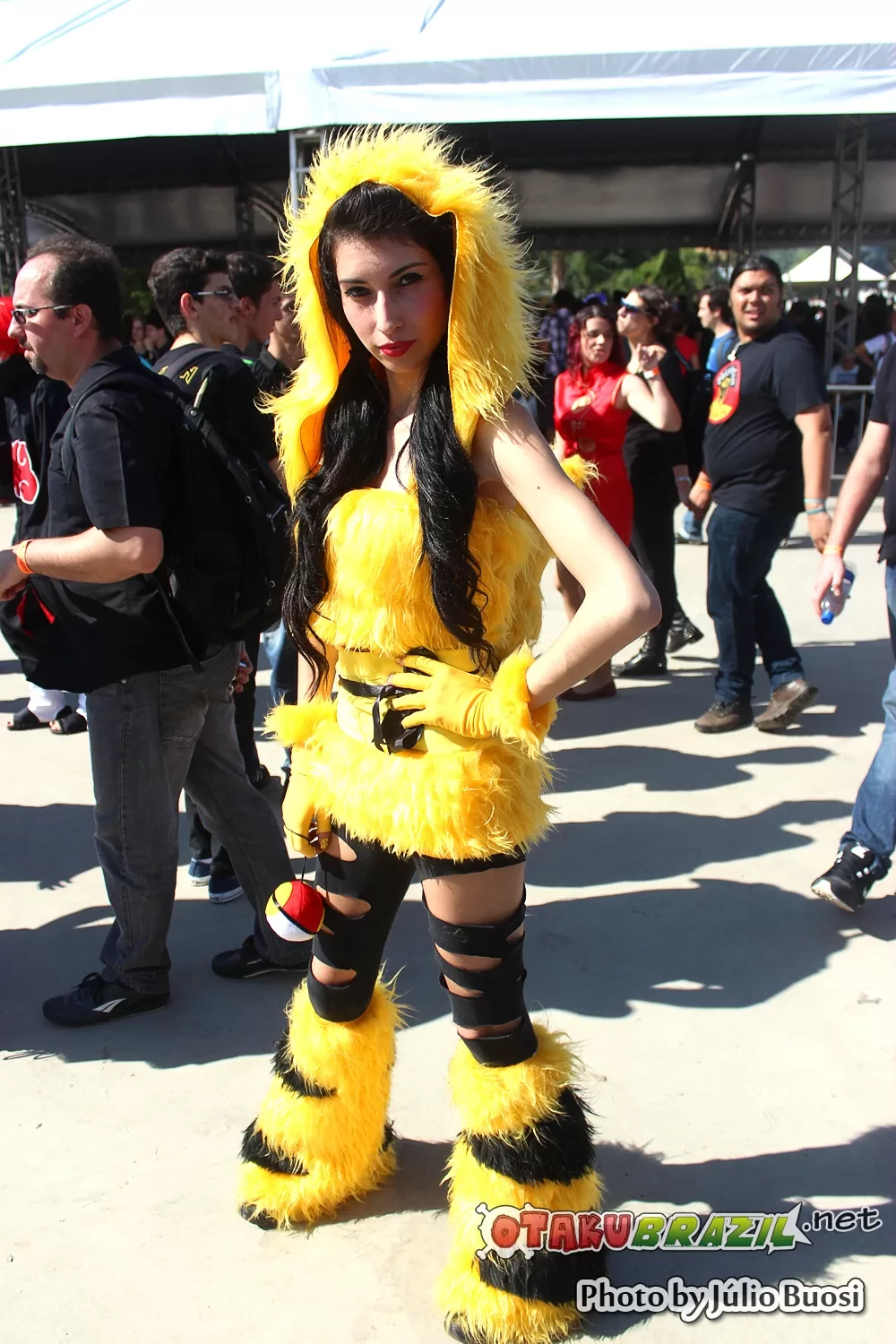 Foto 3725 — Anime Friends 2013