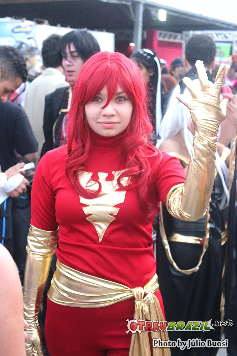 Foto 3811 — Anime Friends 2013