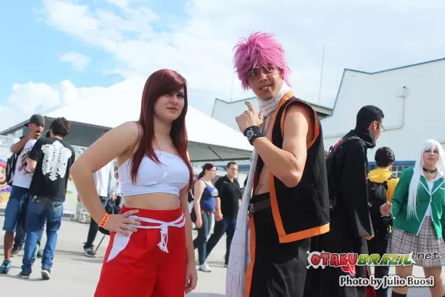 Anime Friends 2013