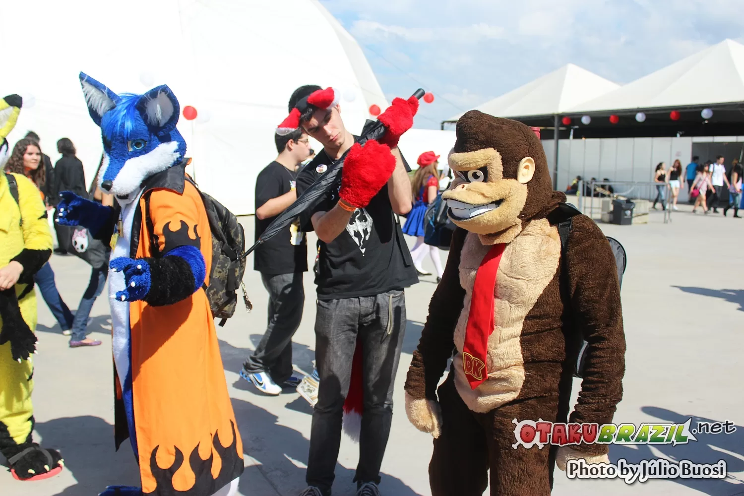 Foto 3342 — Anime Friends 2013