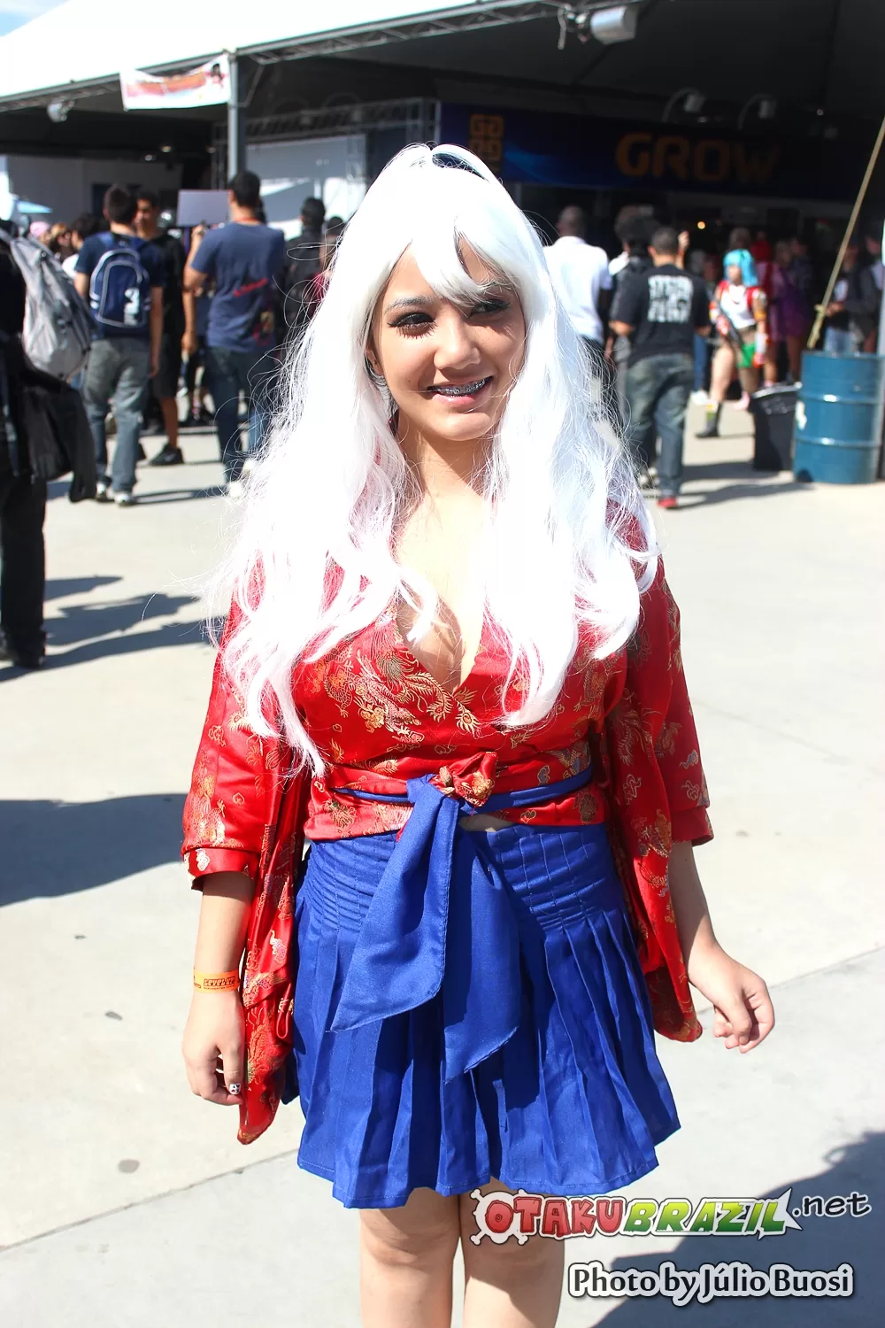 Foto 4036 — Anime Friends 2013