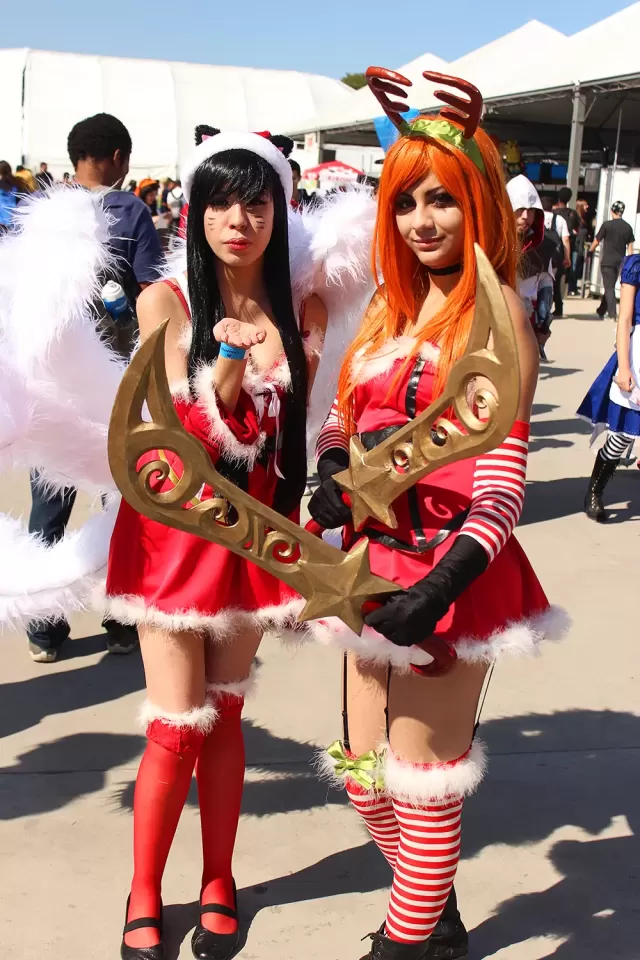 Anime Friends 2014