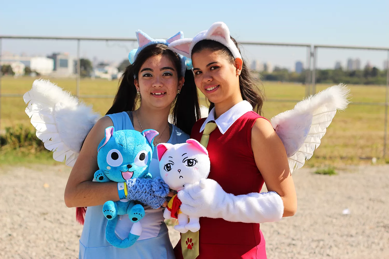 Foto 2506 — Anime Friends 2014