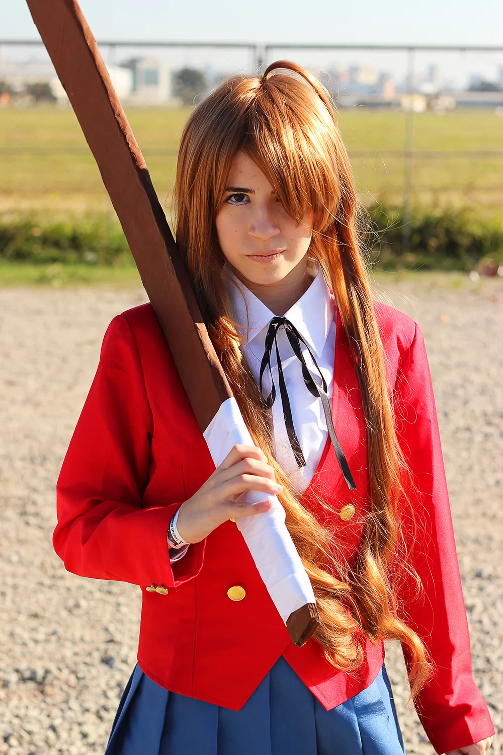 Foto 2574 — Anime Friends 2014