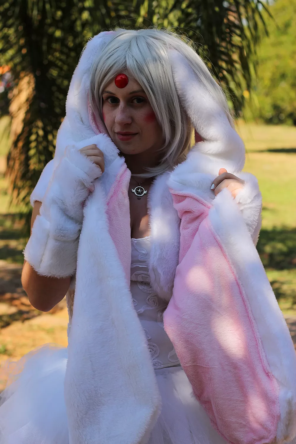 Foto 2426 — Anime Friends 2014