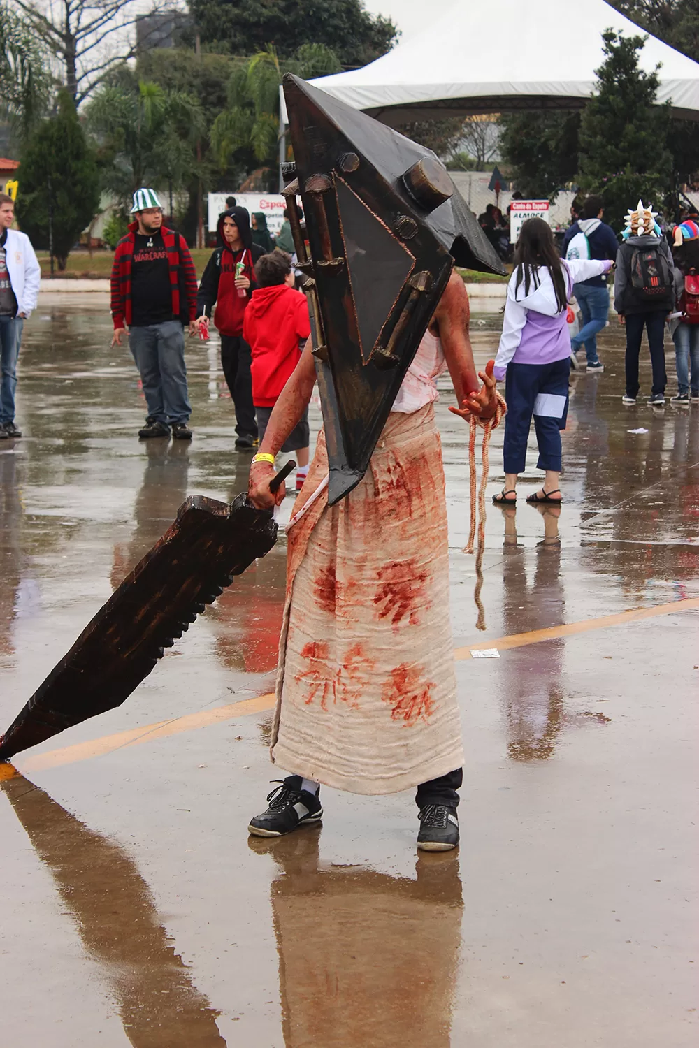Foto 3135 — Anime Friends 2014