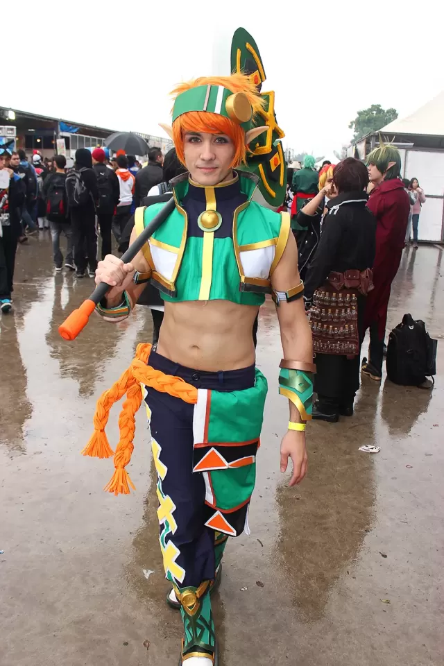 Anime Friends 2014
