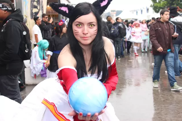 Anime Friends 2014