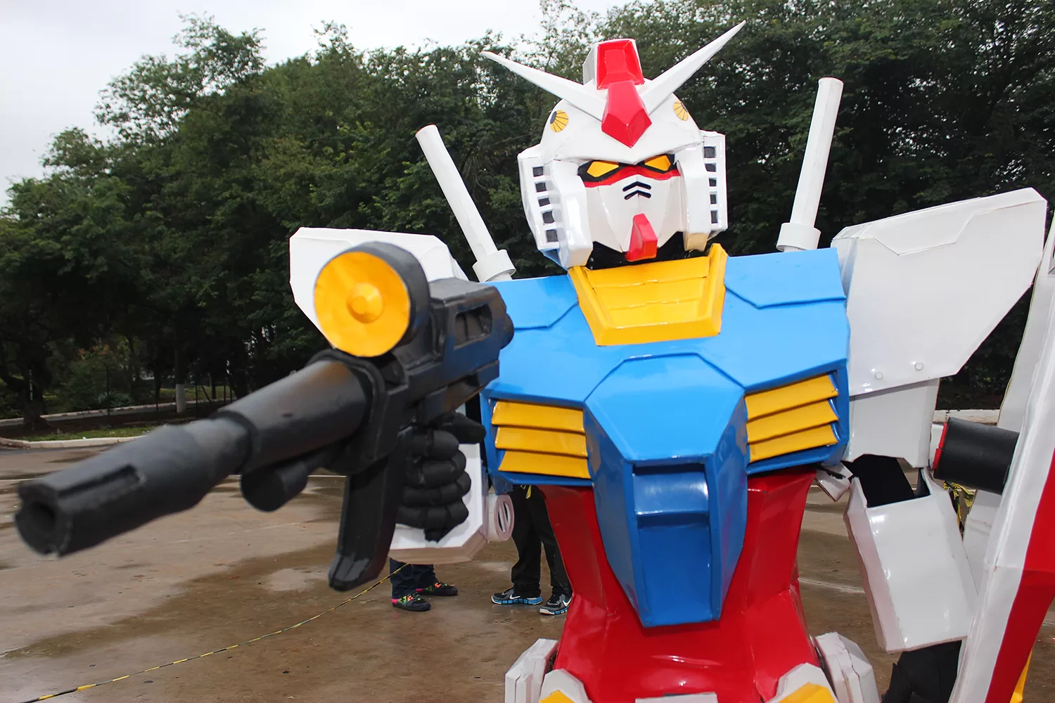 Foto 3195 — Anime Friends 2014