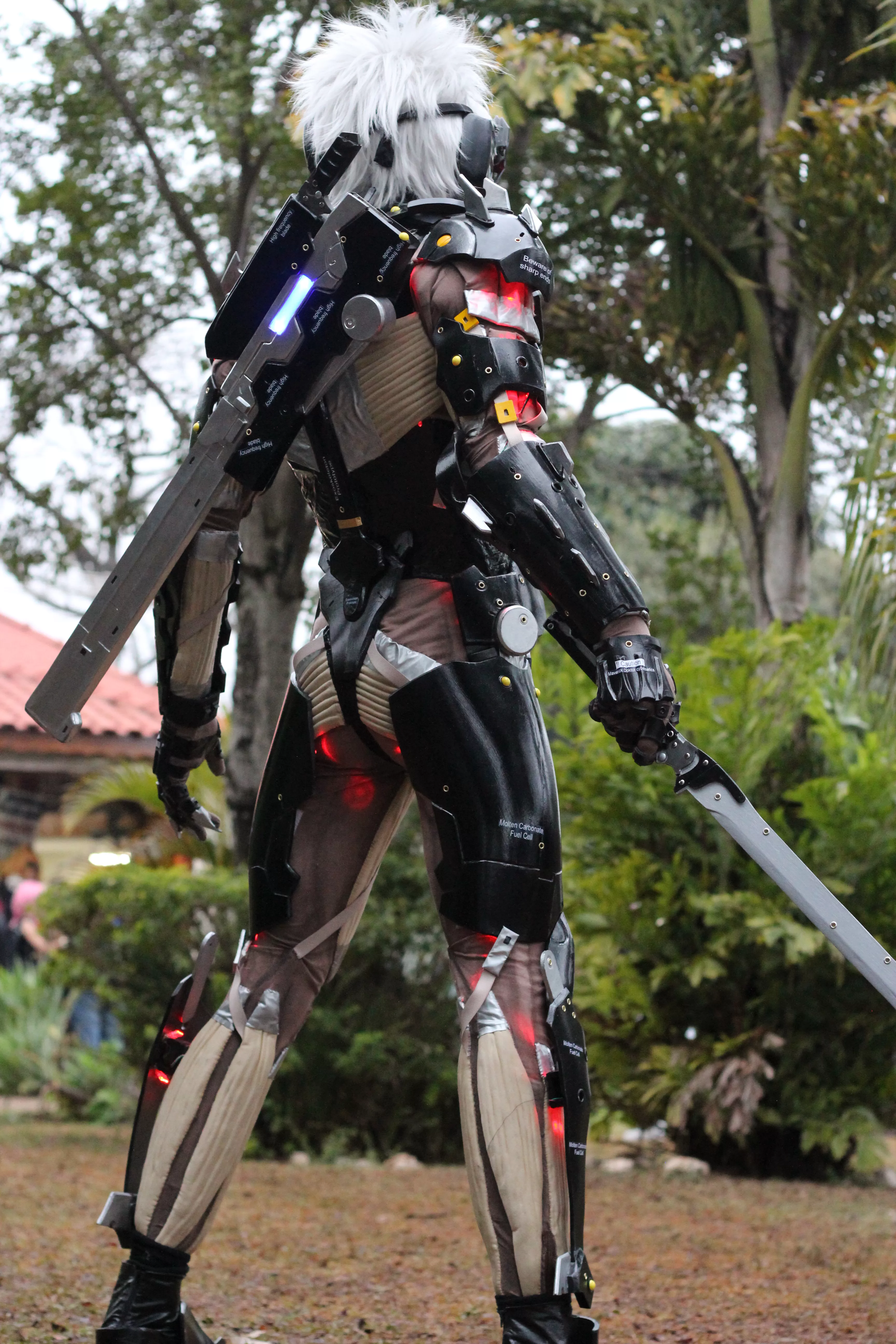 Foto 3231 — Anime Friends 2014