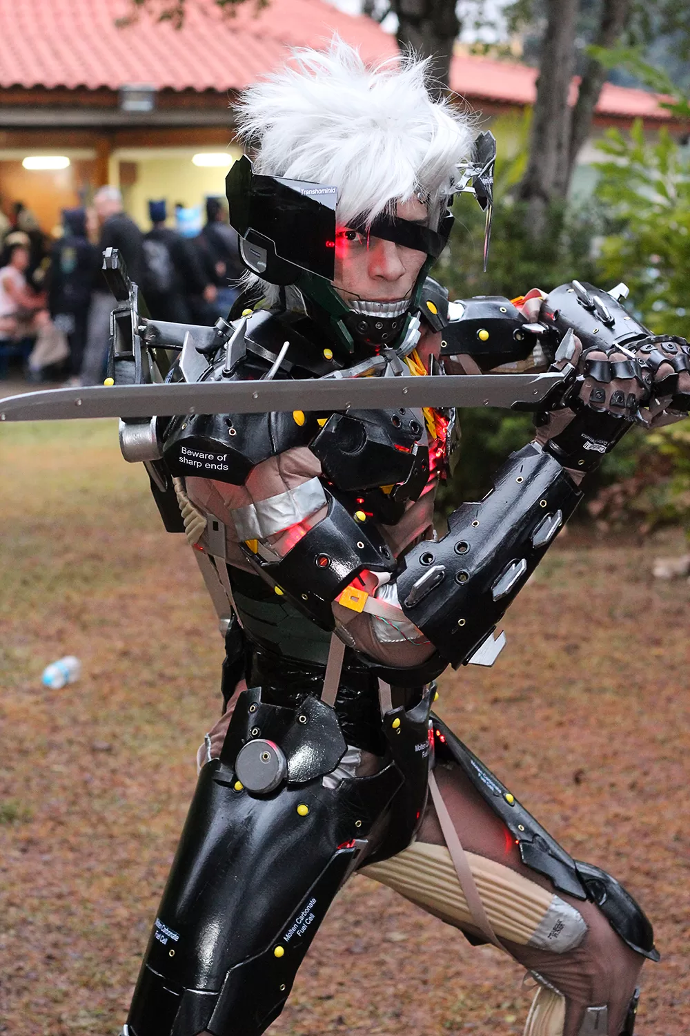 Foto 3233 — Anime Friends 2014