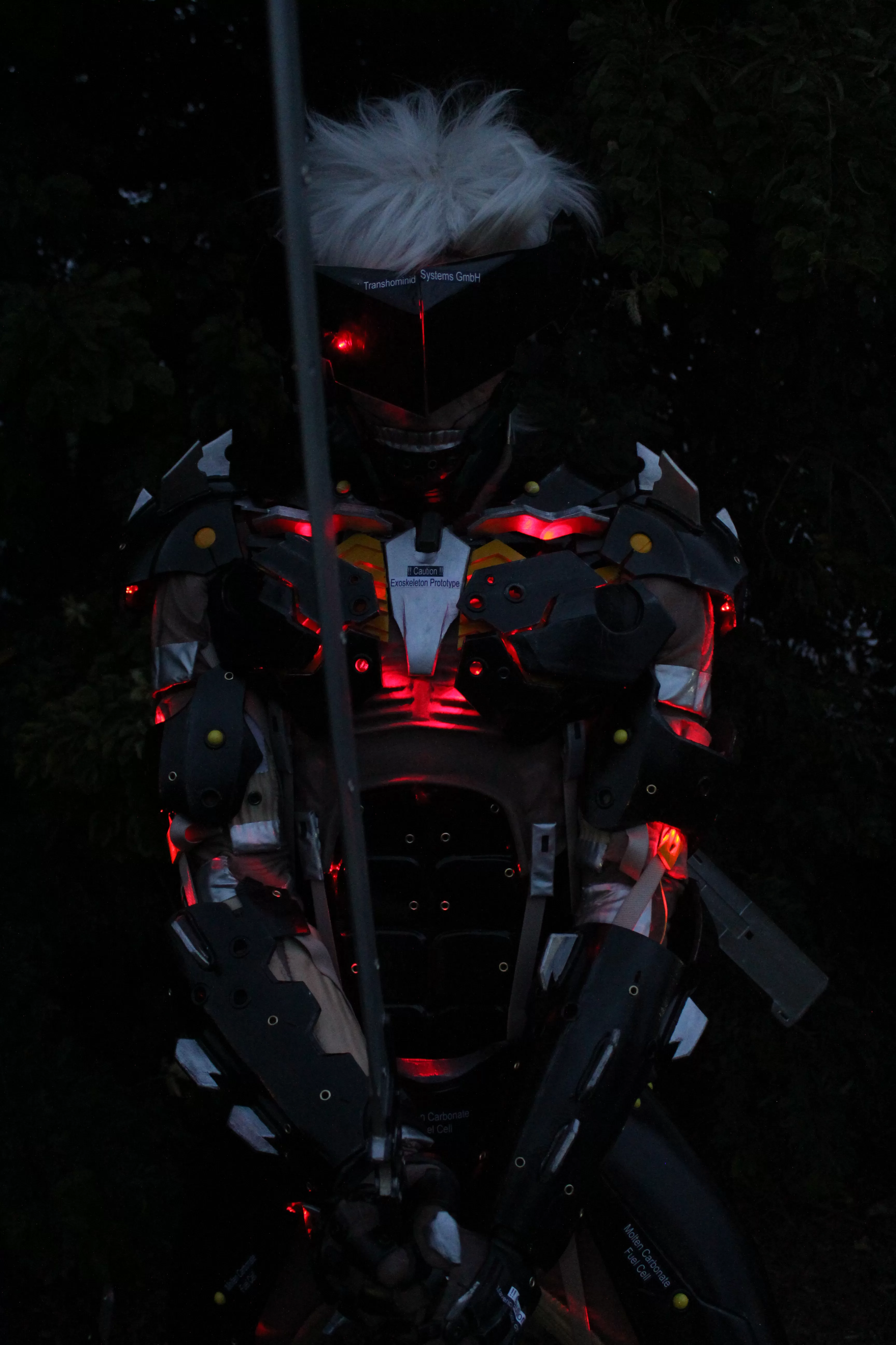 Foto 3263 — Anime Friends 2014