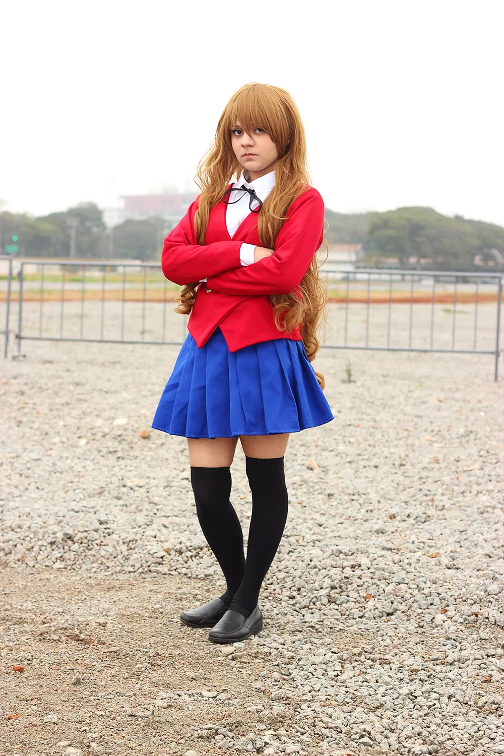 Foto 2917 — Anime Friends 2014