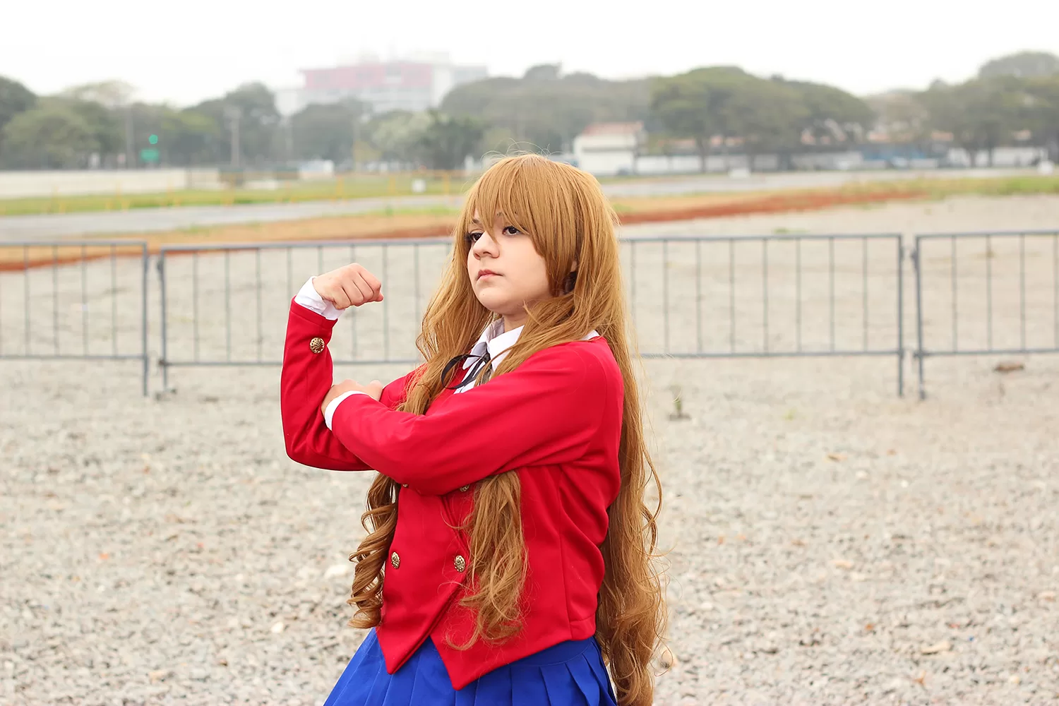 Foto 2918 — Anime Friends 2014