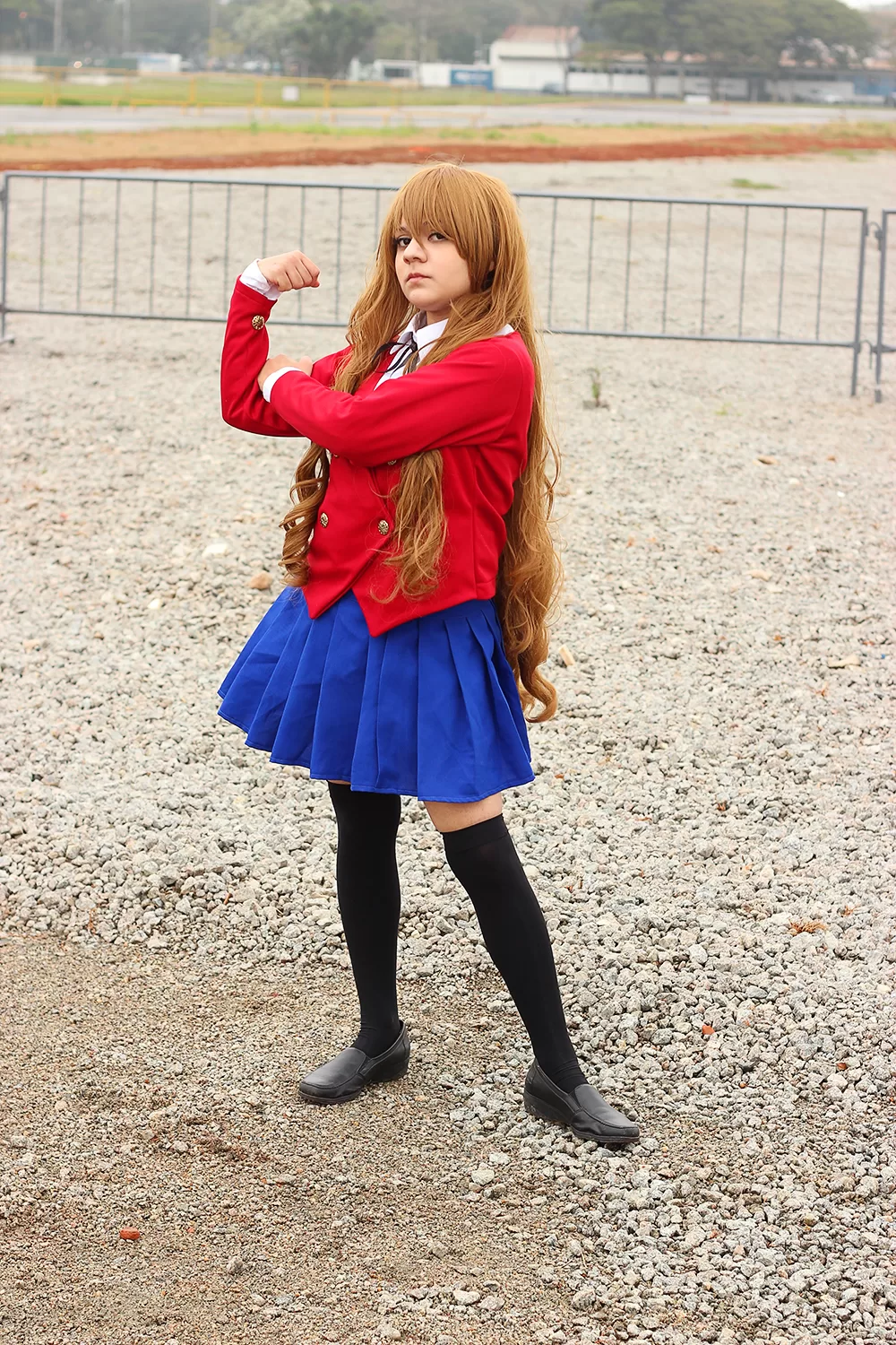 Foto 2919 — Anime Friends 2014