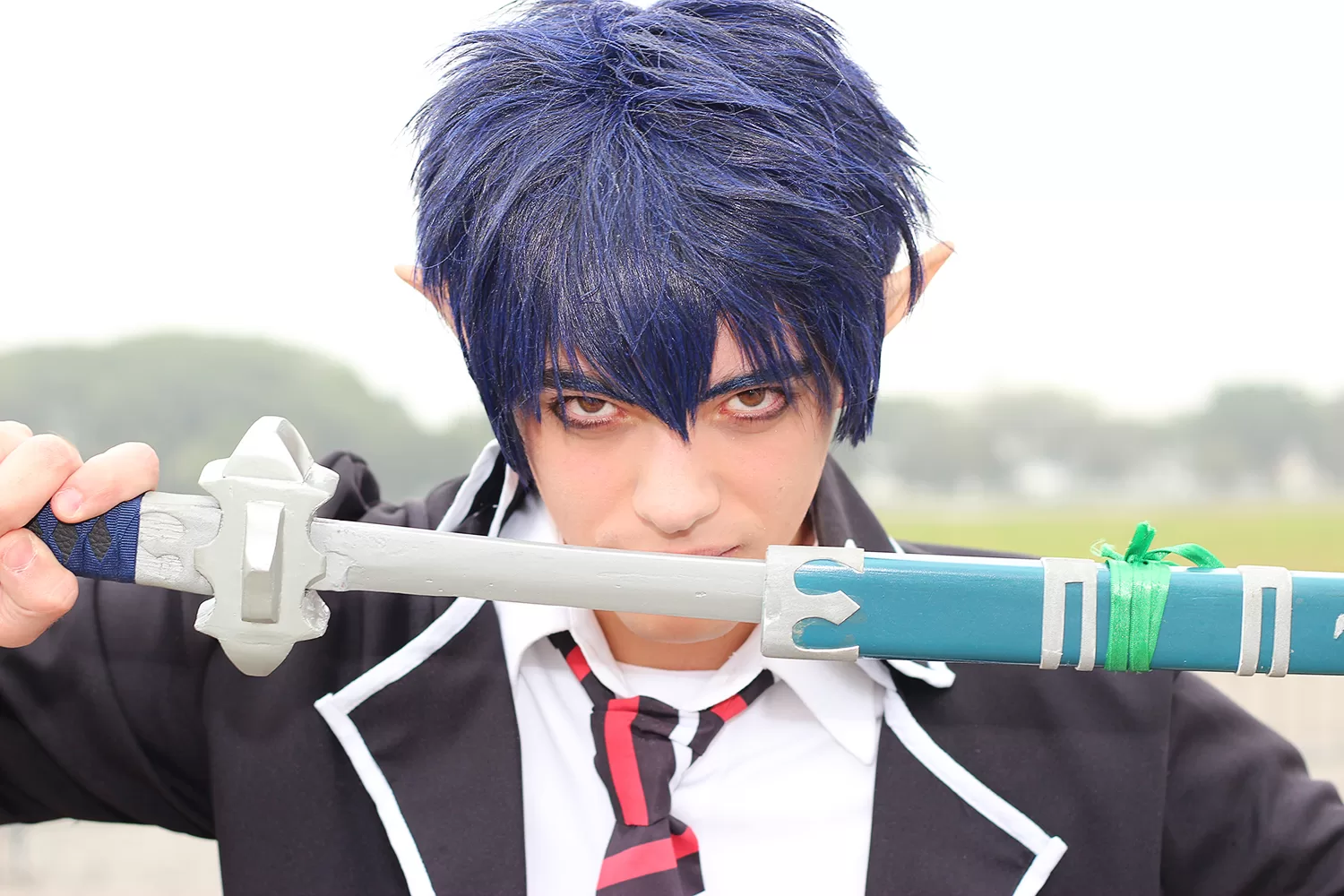 Foto 2925 — Anime Friends 2014