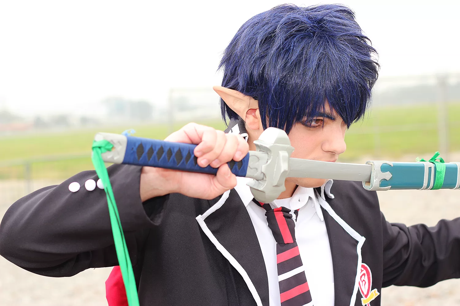 Foto 2926 — Anime Friends 2014