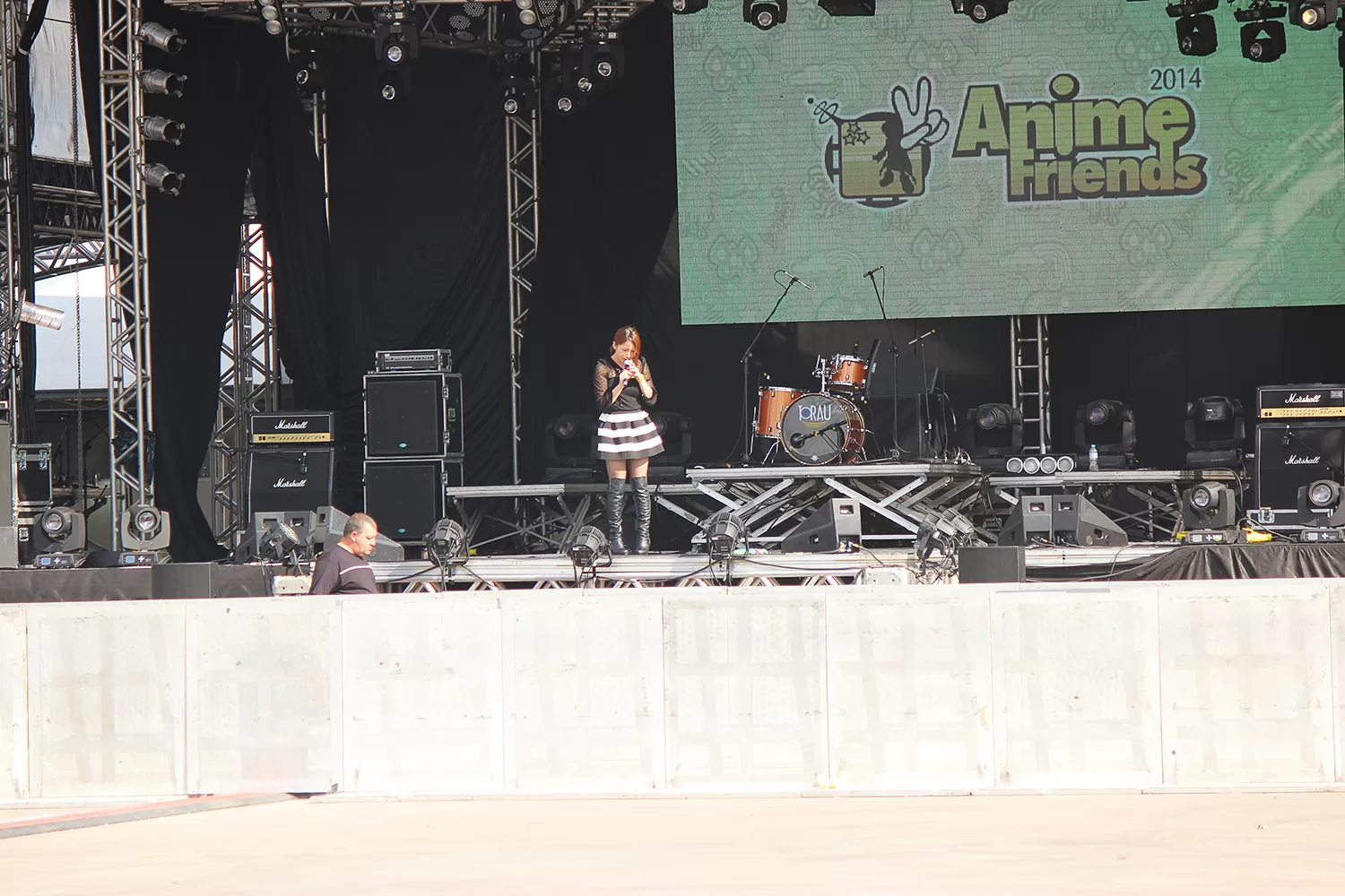 Foto 1881 — Anime Friends 2014
