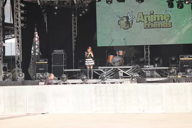 Anime Friends 2014