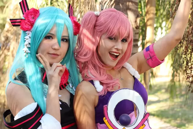 Anime Friends 2014