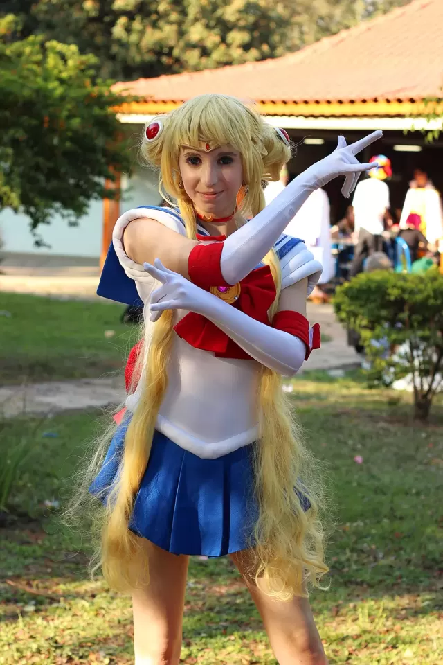 Anime Friends 2014