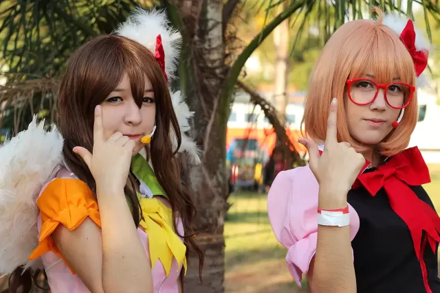 Anime Friends 2014