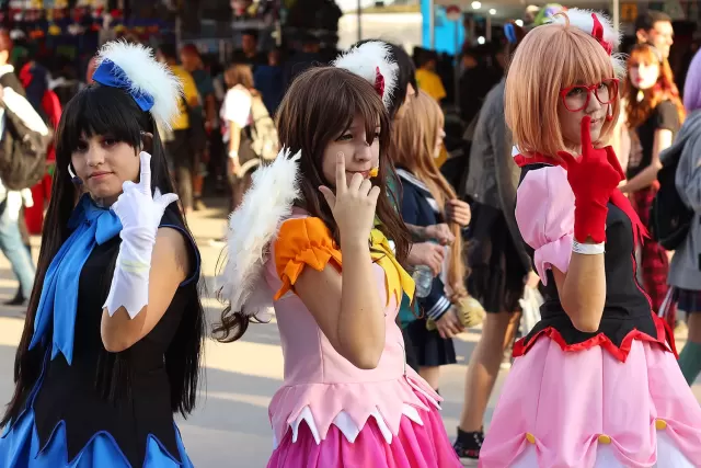 Anime Friends 2014