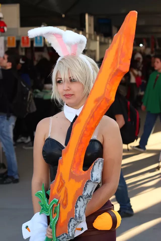 Anime Friends 2014