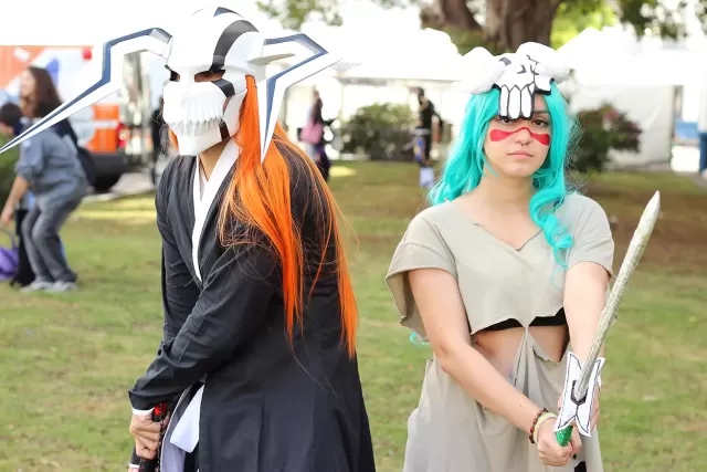 Anime Friends 2014