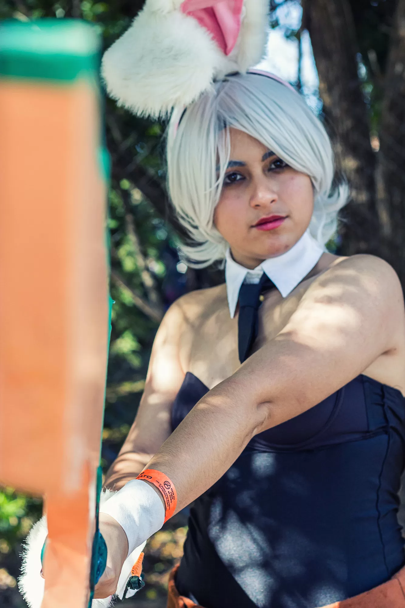 Foto 4189 — Anime Friends 2015