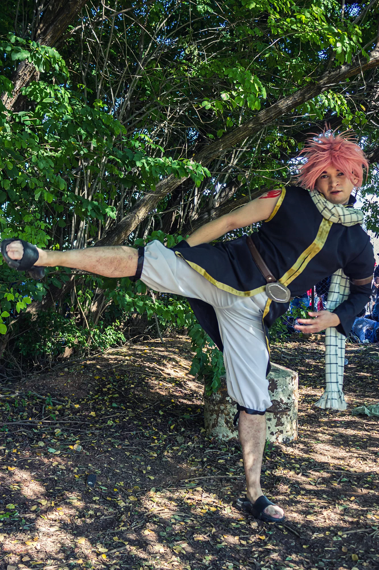 Foto 4067 — Anime Friends 2015