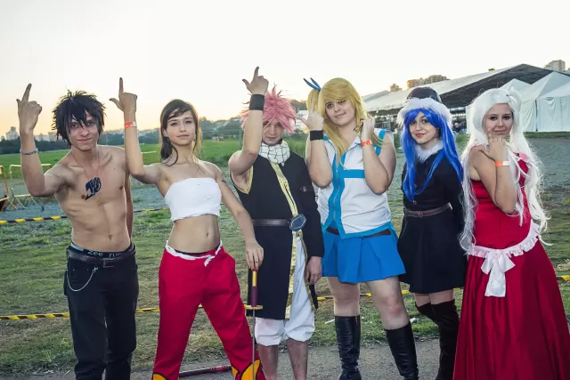 Anime Friends 2015