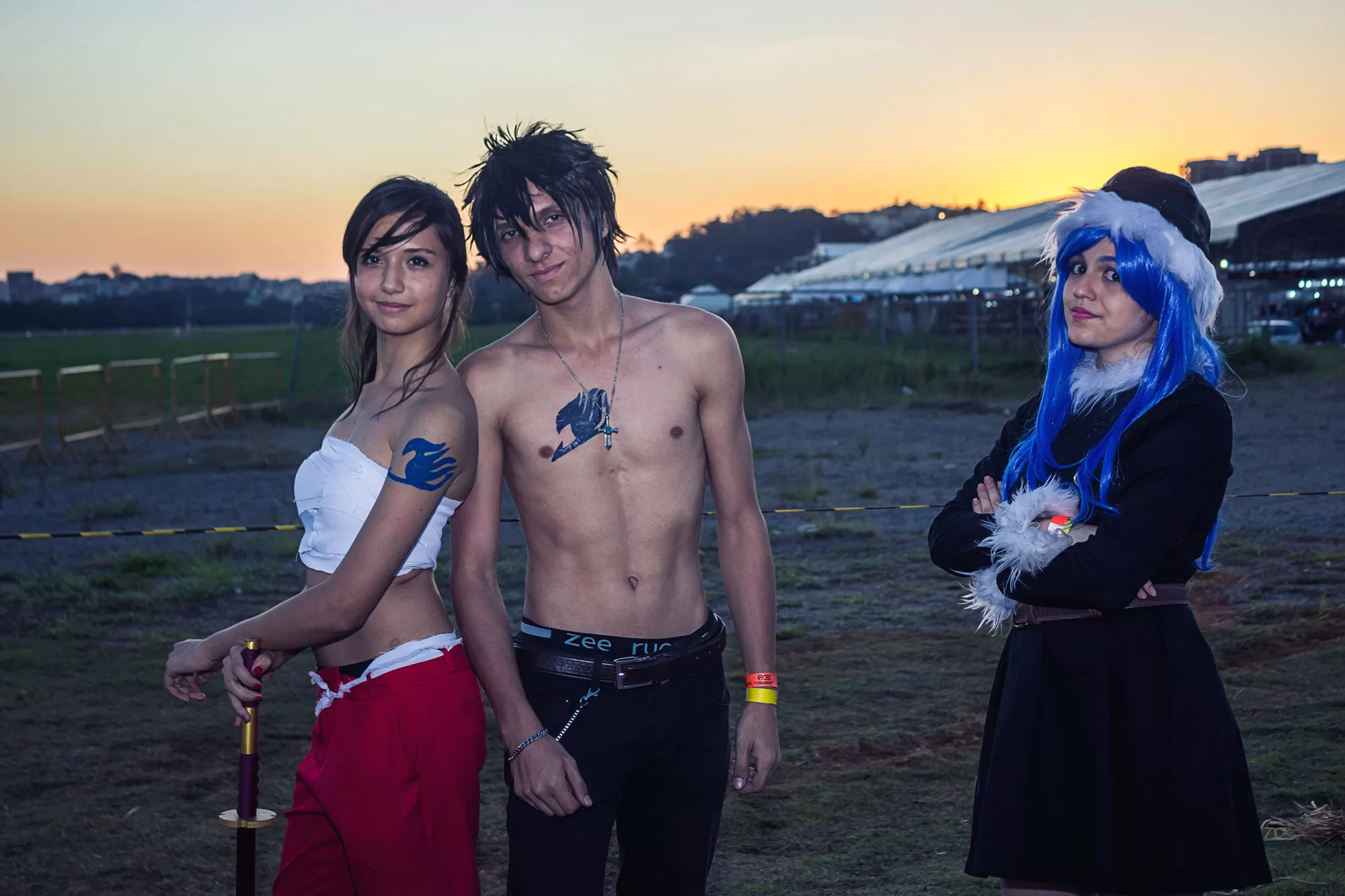 Foto 4423 — Anime Friends 2015