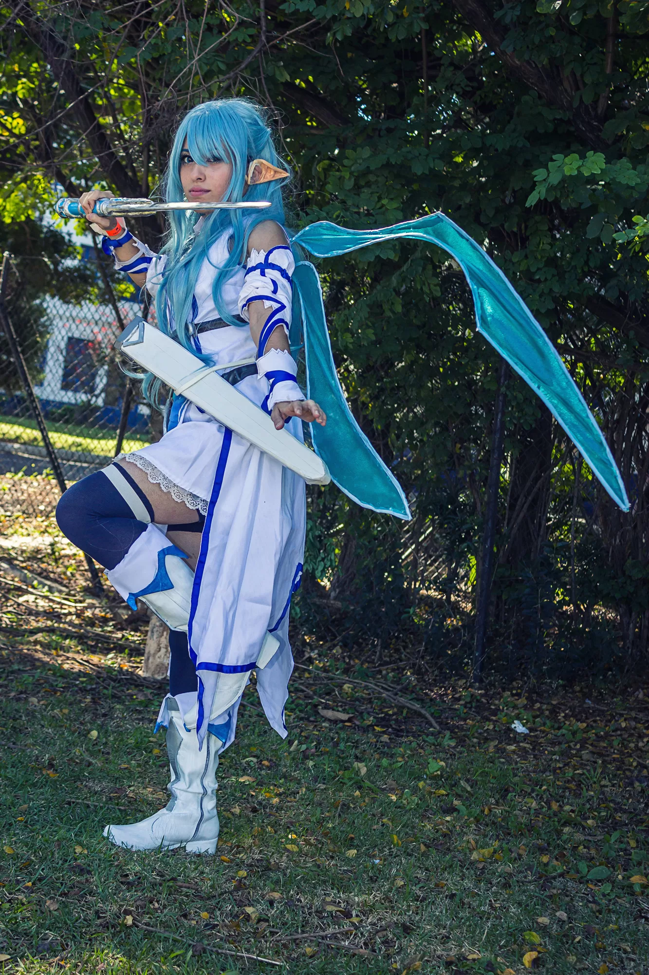 Foto 4116 — Anime Friends 2015