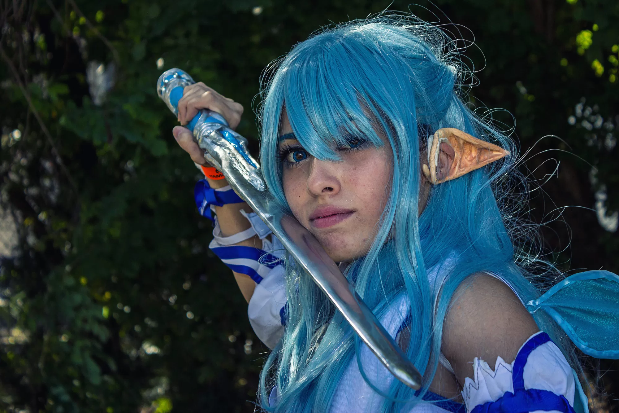Foto 4117 — Anime Friends 2015