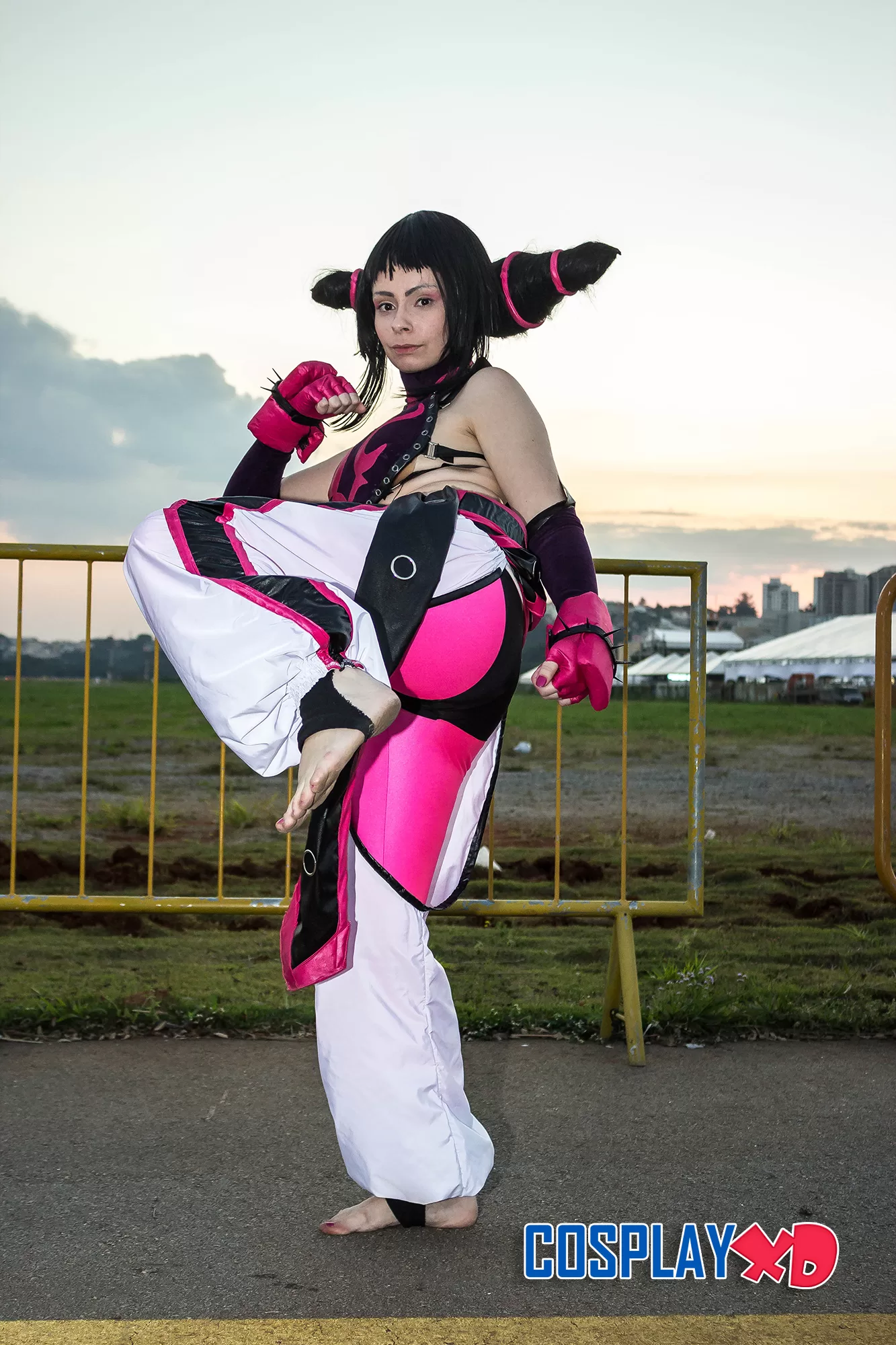 Foto 758 — Anime Friends 2015