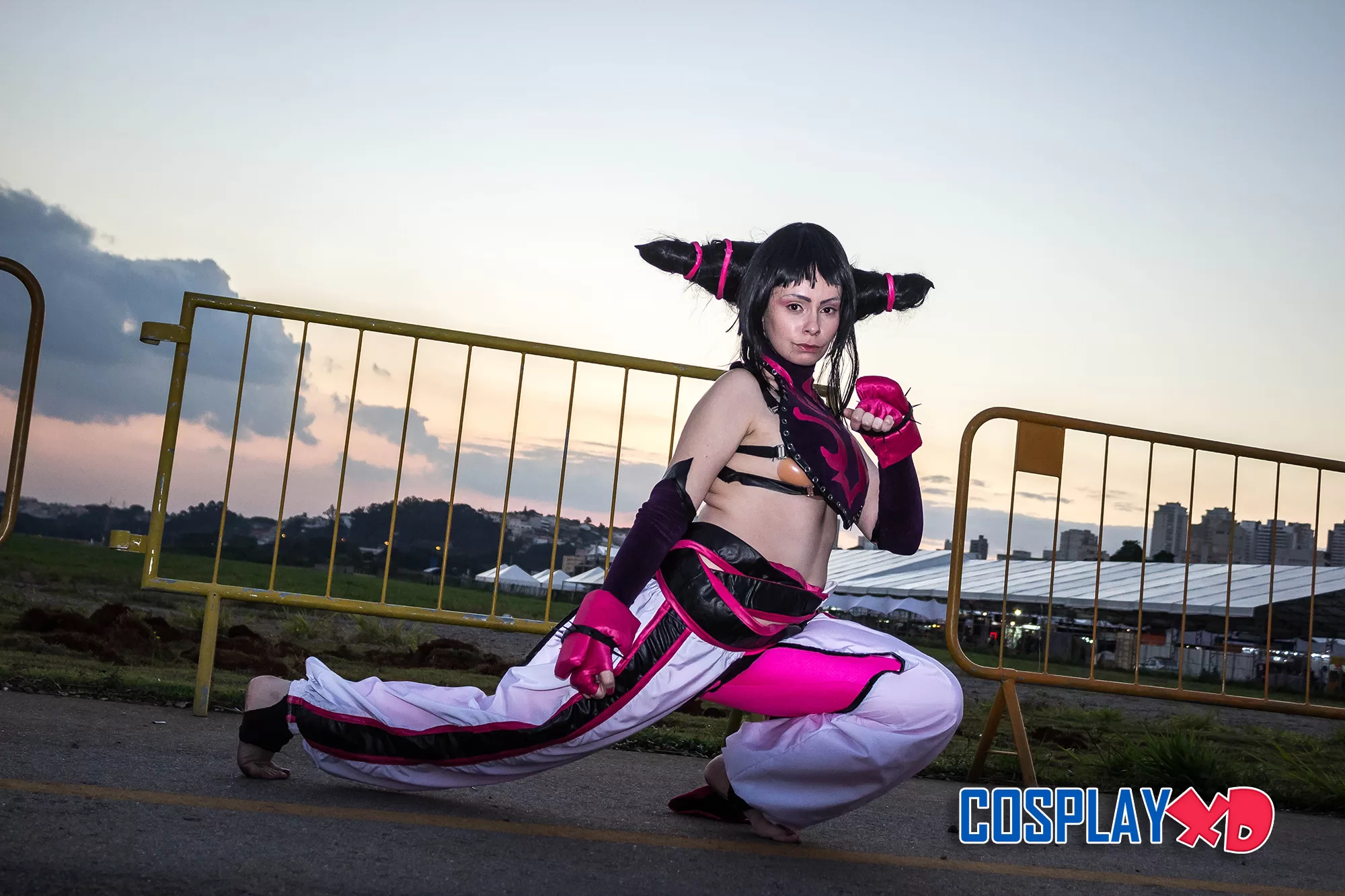 Foto 759 — Anime Friends 2015