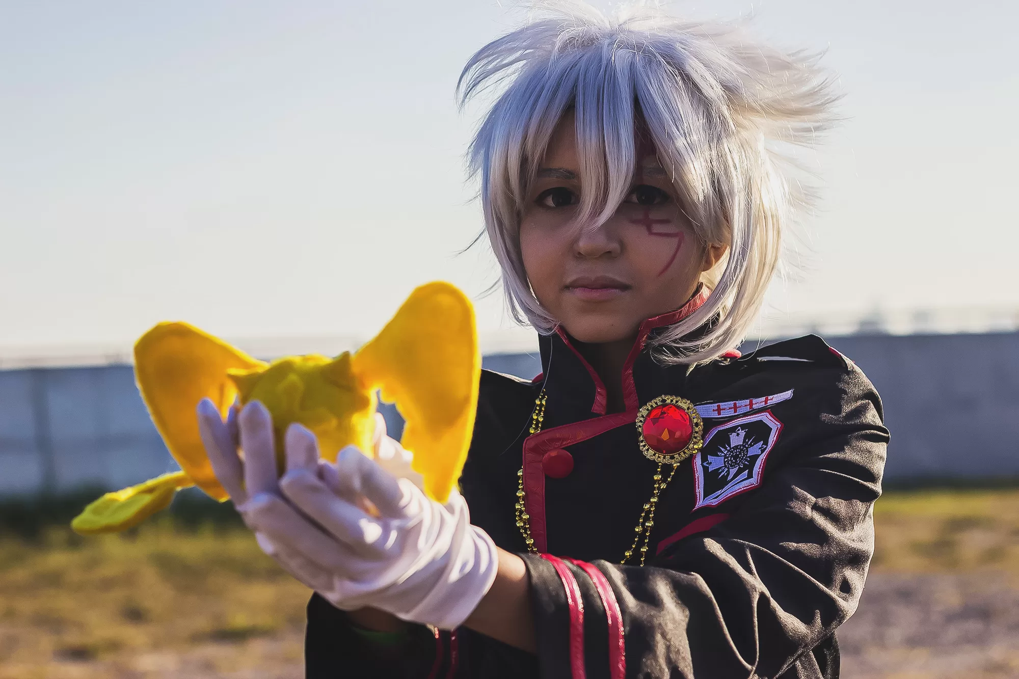 Foto 4530 — Anime Friends 2016